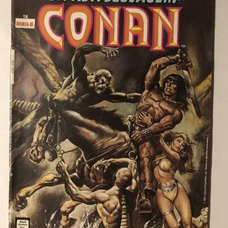 Espada Selvagem de Conan Nº 18 - Reedição - Ed. Abril