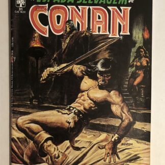 Espada Selvagem de Conan Nº 31 - 1ª Edição - Ed. Abril