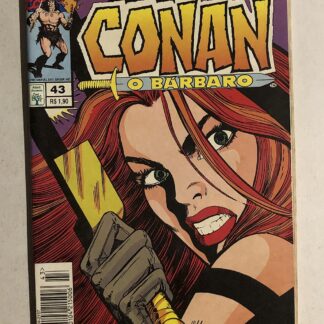 Conan o Bárbaro nº 43 - Ed. Abril