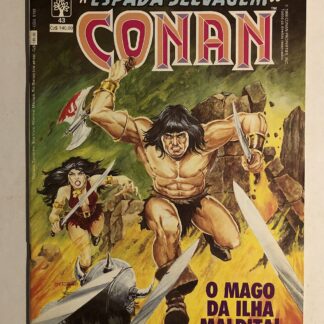 Espada Selvagem de Conan Nº 43 - 1ª Edição - Ed. Abril