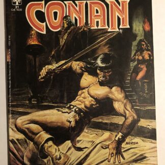 Espada Selvagem de Conan Nº 31 - 1ª Edição - Ed. Abril