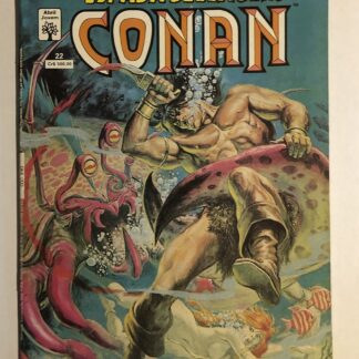 Espada Selvagem de Conan Nº 22 - Reedição - Ed. Abril