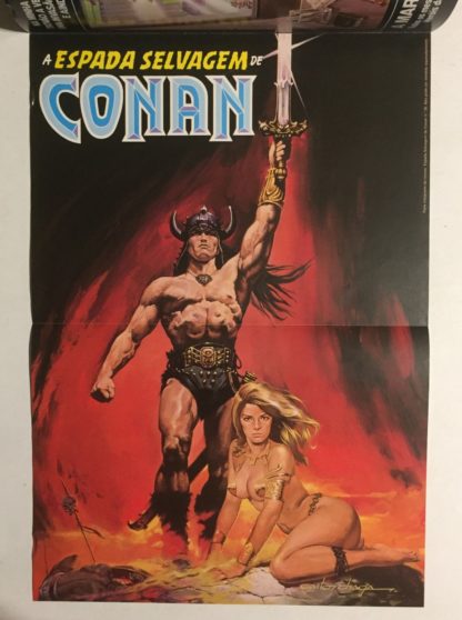 Espada Selvagem de Conan Nº 26 - 1ª Edição - Ed. Abril com pôster - Imagem 8