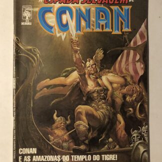 Espada Selvagem de Conan Nº 33 - 1ª Edição - Ed. Abril