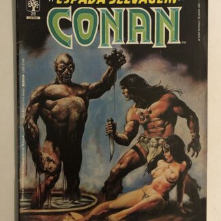 Espada Selvagem de Conan Nº 29 - 1ª Edição - Ed. Abril