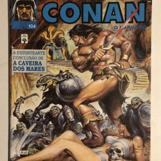 Espada Selvagem de Conan Nº 104 - Ed. Abril