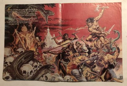 Conan O Bárbaro Revista Poster Nº 2 Ed Abril 1993 - Imagem 3