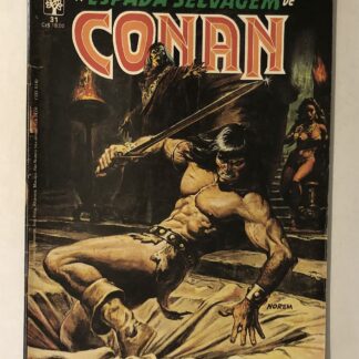Espada Selvagem de Conan Nº 31 - 1ª Edição - Ed. Abril